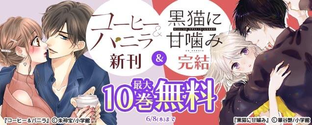 特集バナー