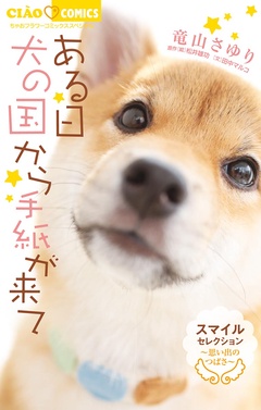 サンプル
