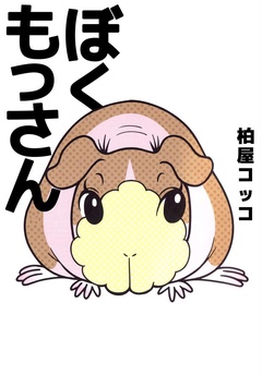 サンプル