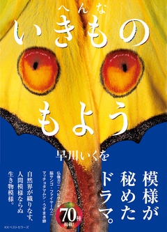 サンプル