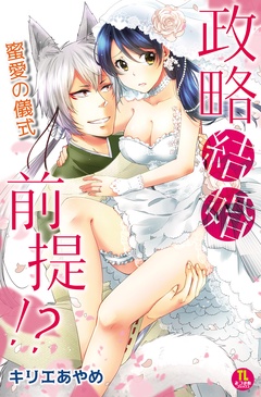 サンプル