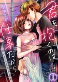 君を抱くのは仕事だから~雇い主は変態小説家~