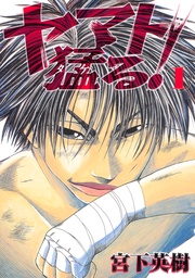 宮下英樹:ヤマト猛る!