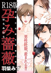 羽柴みず:孕み薔薇【R18版】