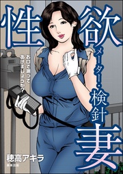 穂高アキラ：性欲メーター・検針妻