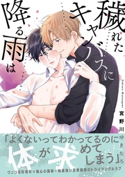 宮野川ゆきたろ：【電子限定特典付】穢れたキャンバスに降る雨は