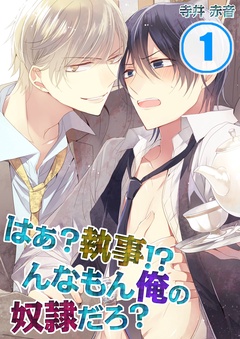 はぁ?執事!?んなもん俺の奴隷だろ?