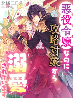 ★TL小説★  恋愛ノベル 文学/小説 本 本・音楽・ゲーム 長期のアフターセールス