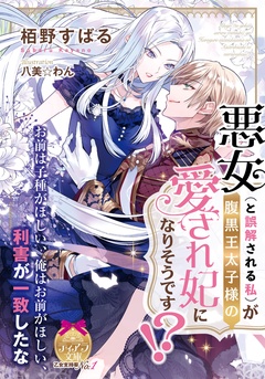 ★TL小説★  恋愛ノベル 文学/小説 本 本・音楽・ゲーム 長期のアフターセールス